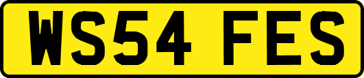 WS54FES