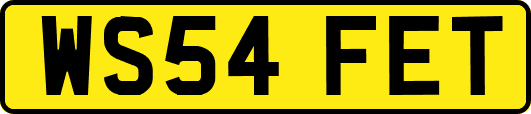 WS54FET