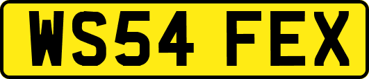 WS54FEX