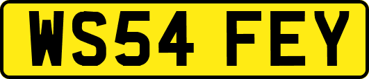 WS54FEY