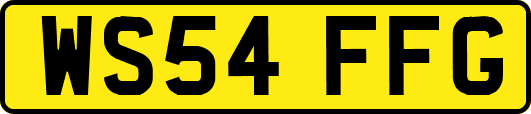 WS54FFG