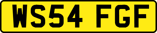 WS54FGF