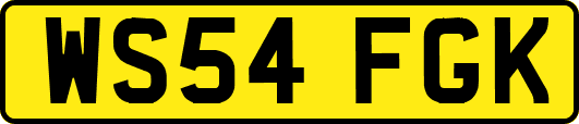 WS54FGK
