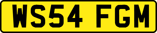 WS54FGM