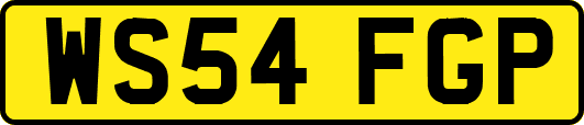 WS54FGP