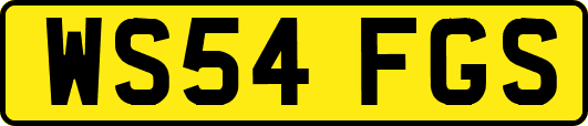 WS54FGS