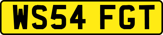 WS54FGT