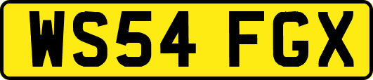 WS54FGX