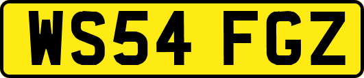WS54FGZ