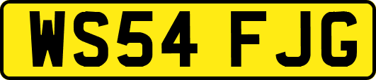WS54FJG