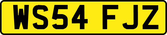 WS54FJZ