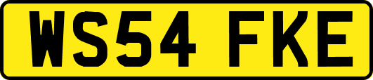 WS54FKE