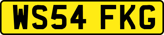 WS54FKG