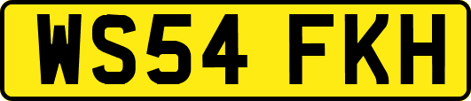 WS54FKH