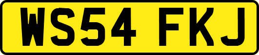 WS54FKJ