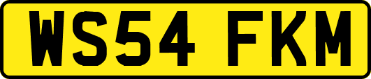 WS54FKM