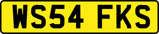 WS54FKS