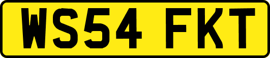 WS54FKT