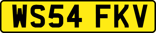 WS54FKV
