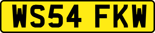 WS54FKW