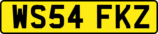 WS54FKZ