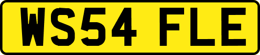 WS54FLE