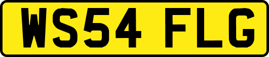 WS54FLG