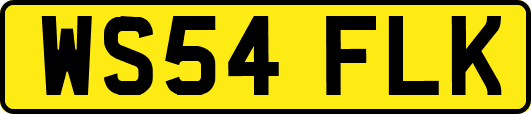 WS54FLK