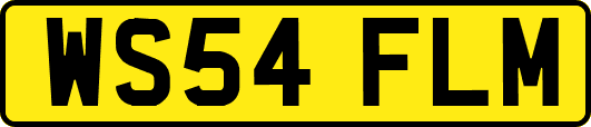 WS54FLM