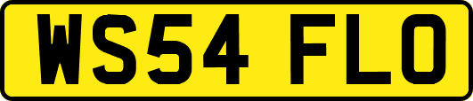 WS54FLO