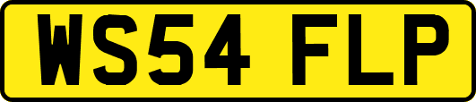 WS54FLP