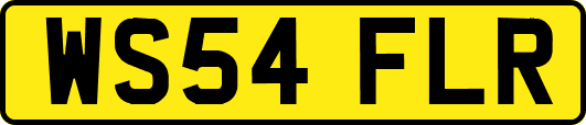 WS54FLR