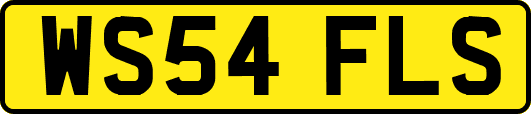 WS54FLS