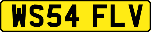 WS54FLV