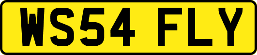WS54FLY