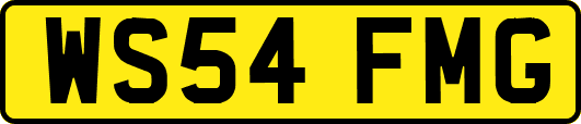 WS54FMG