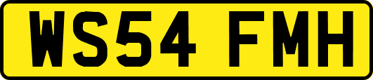 WS54FMH