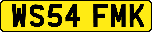 WS54FMK