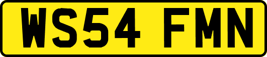 WS54FMN