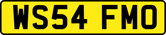 WS54FMO
