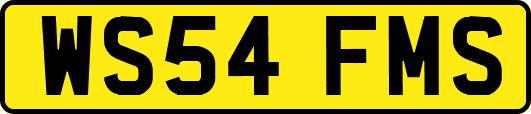 WS54FMS
