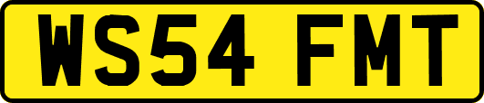 WS54FMT