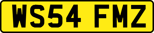 WS54FMZ