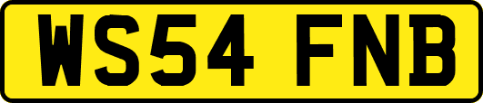 WS54FNB