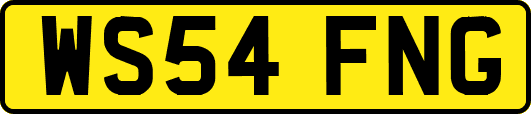 WS54FNG