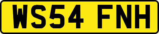 WS54FNH
