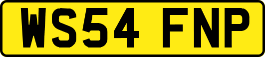 WS54FNP