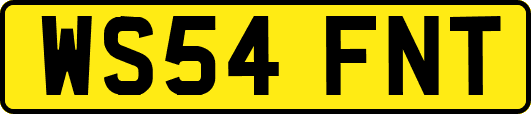 WS54FNT
