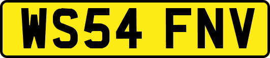 WS54FNV