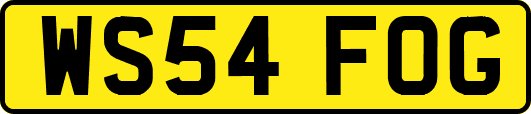 WS54FOG